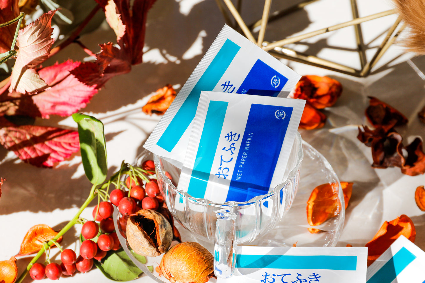 紙おてふき 小型 トップコート紙